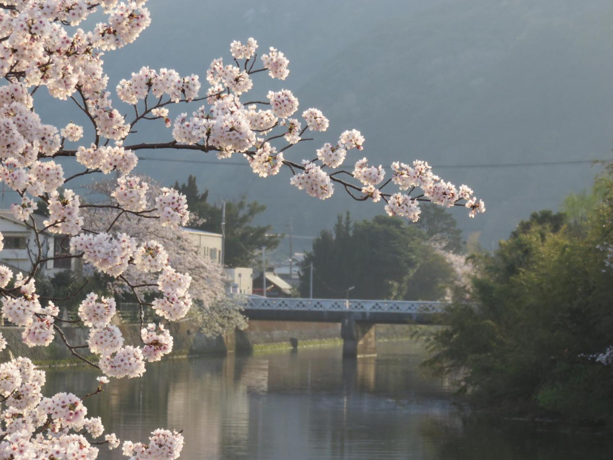 御宿 in Im Matsuzaki  Экстерьер фото